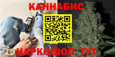 стафф Будённовск