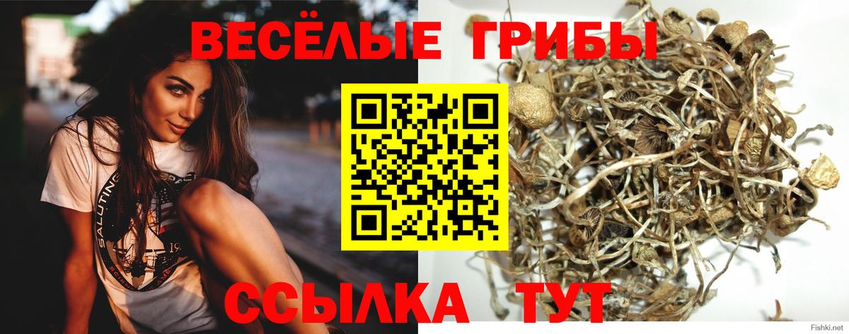 Нововоронеж  Галлюциногенные грибы Magic Shrooms  Вход с VPN 